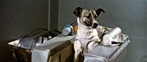 LAIKA